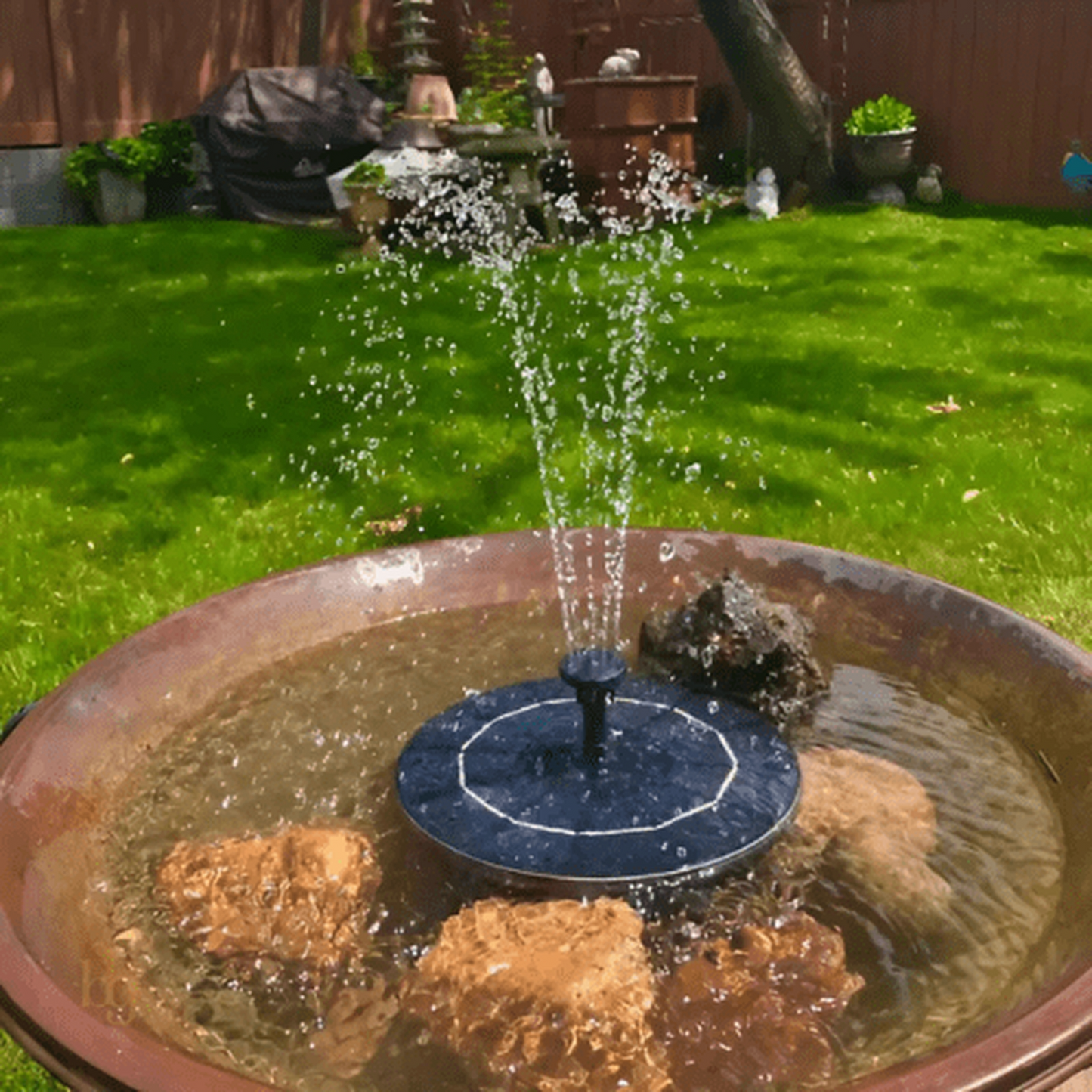 Fuente de agua para pájaros - [Carga solar]