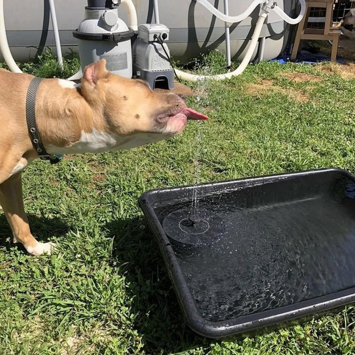 Fuente de agua para pájaros - [Carga solar]