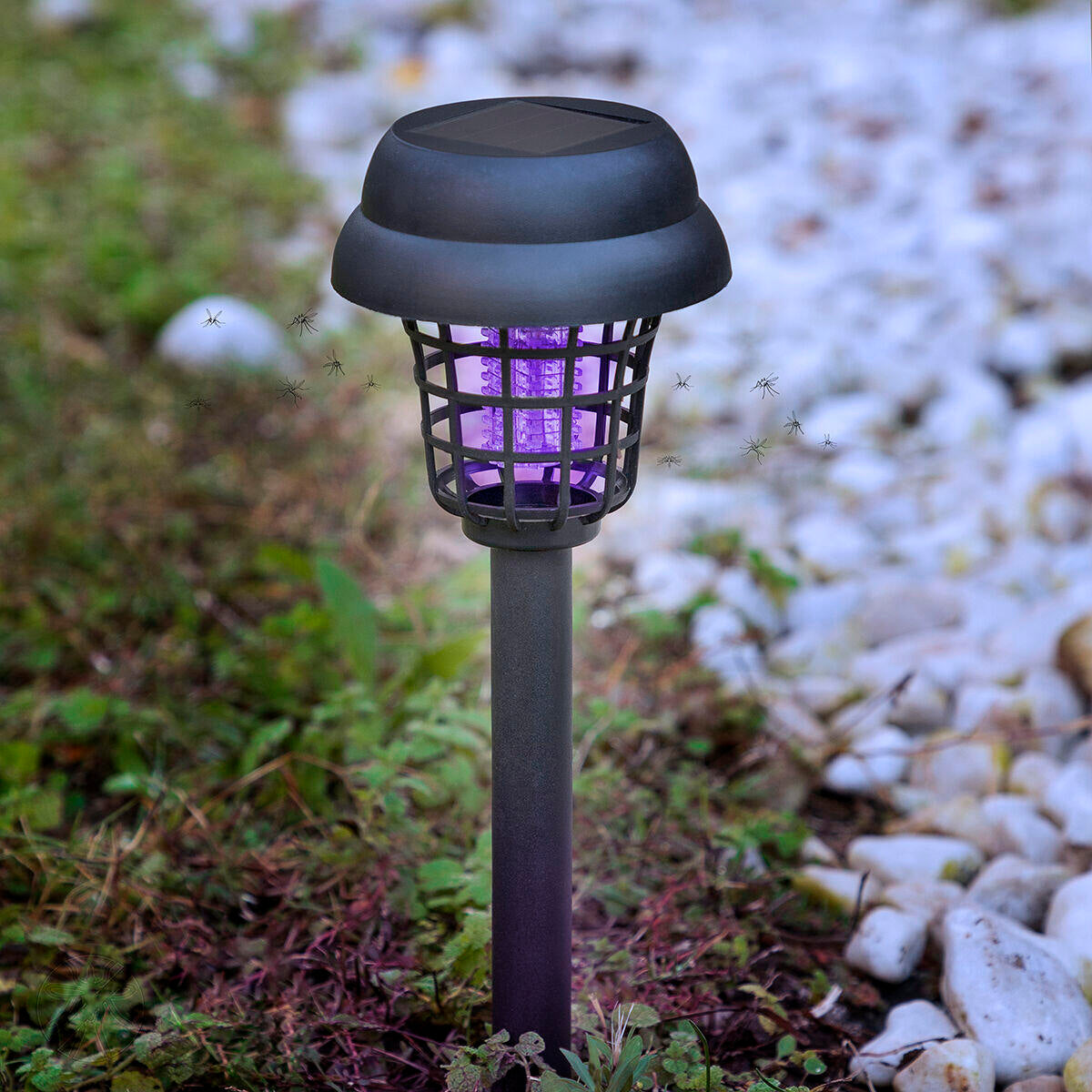 Lámpara Solar Ultra Violeta Repelente de Insectos [LANZAMIENTO EXCLUSIVO]